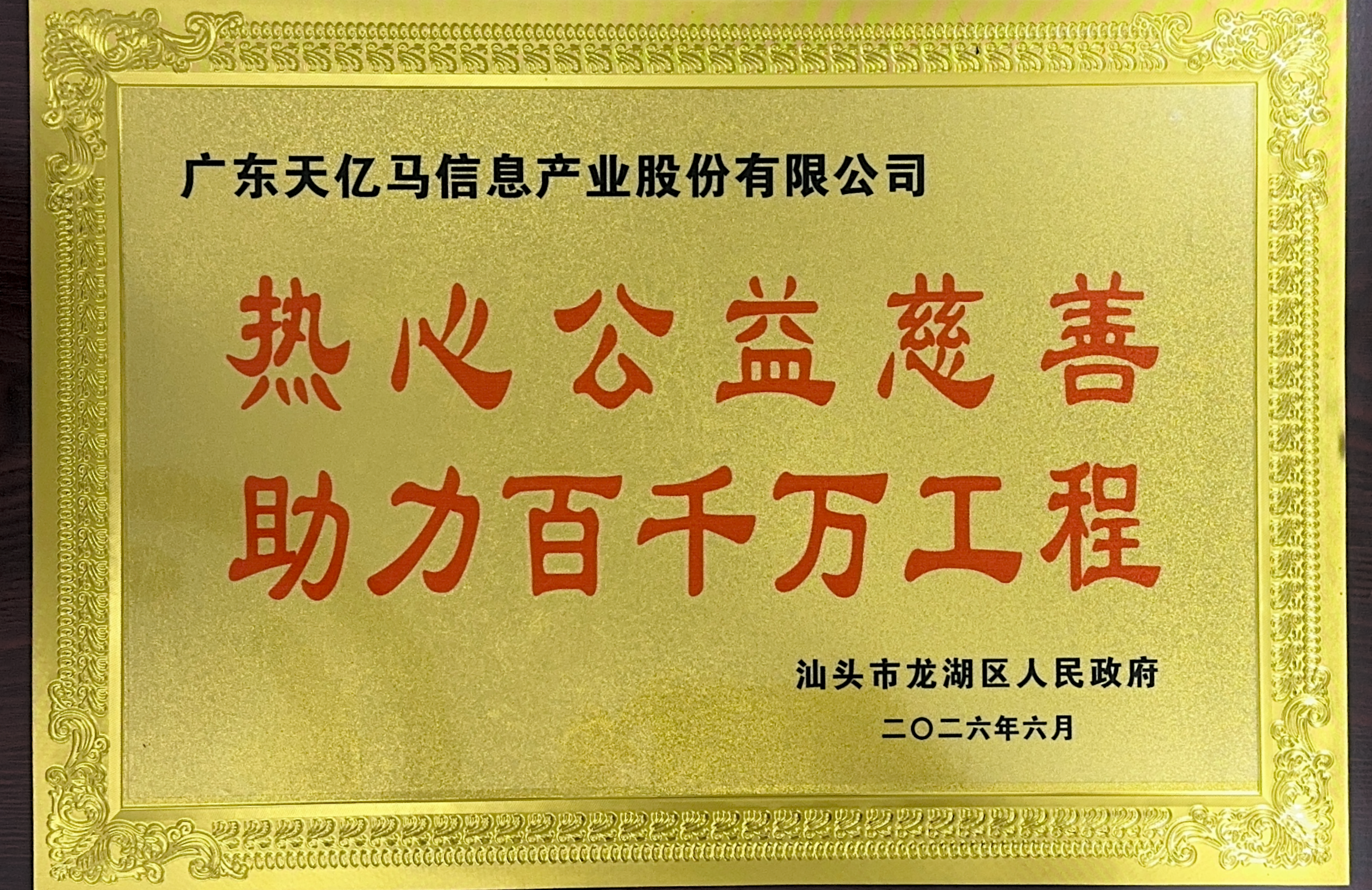 热心公益慈善 助力百千万工程 | 天亿马获汕头市龙湖区乡村振兴公益表彰